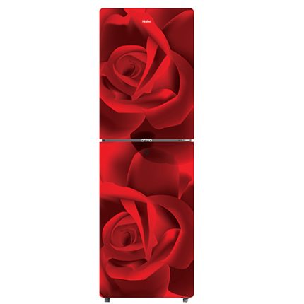 231L Top Mount Refrigerator