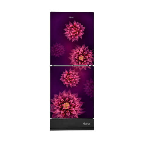 255L Bottom Mount Refrigerator